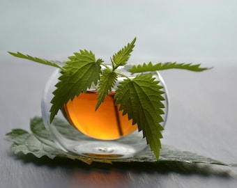 Organic Nettle Leaf Tea | Herbal Detox, Wellness Infusion