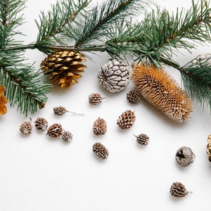 Organic Pine Needle | Pine Needle | FRESH Pine Needle Tea Bulk| Wild and Pure, Suramin Shikimic acid| MAGICAL HERBS | White Pine Needles |