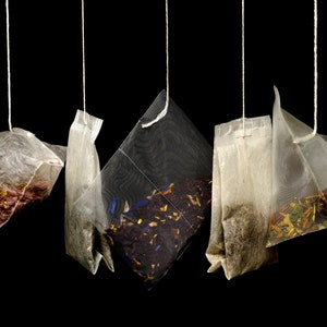 WHITE PINE Needle TEA bags, Wild Eastern White Pine, Natural Organic Wild Needle Tea, Fresh Green Pine needle tea