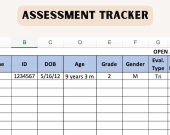 Spreadsheet beoordelingstracker |Schoolpsycholoog | Logboek testformulier organisatie
