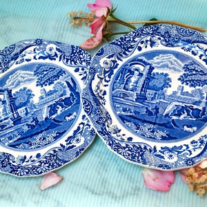 May include: Two blue and white ceramic plates with a floral pattern and a scenic design in the center. The plates have a scalloped edge.