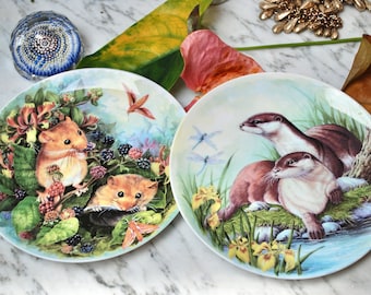 Pratos decorativos vintage de porcelana fina Wedgwood, com arte de vida selvagem de Dorothy Wallace.