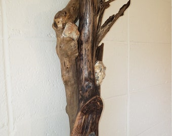 Driftwood Decor for Wall