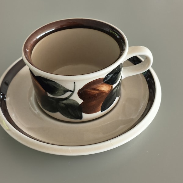 ARABIA Finland espresso cup & saucer RUIJA