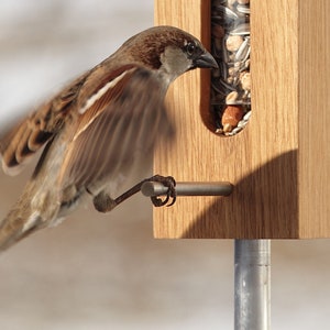 May include: A brown sparrow perched on a wooden bird feeder with a clear tube filled with birdseed. The feeder is mounted on a metal pole.