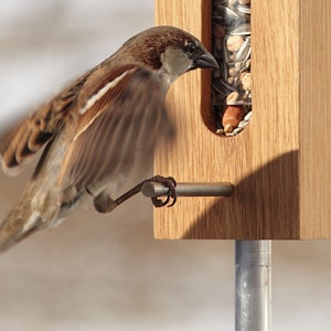 PICNIC bird feeder column made of oak and glass. THE ORIGINAL! High quality feeder made from the best local materials.