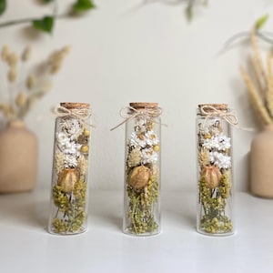 Botanical Terrarium/Dried Wildflower/Plants/Dried flower in Bottle/Dried flower in jar/Home Decor/Gift