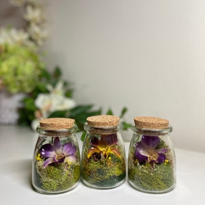 Preserved Moss for Woodland Centerpieces and Terrariums