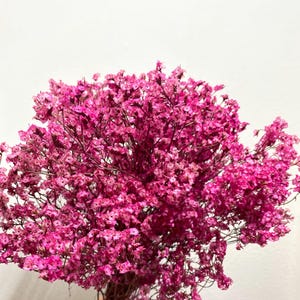 Preserved Dyed Limonium Sinensis/Preserved Crystal Flower/Flower Bunch for DIY Arrangements/Flower Bundle/Craft/Home Decor