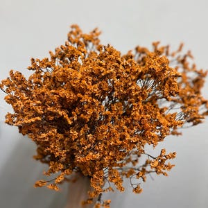 Preserved Dyed Limonium Sinensis/Preserved Crystal Flower/Flower Bunch for DIY Arrangements/Flower Bundle/Craft/Home Decor