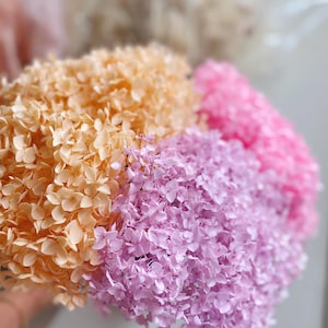 Preserved Hydrangea with Stem /Preserved Hydrangea/10/20 Pieces Flowers/Flowers for DIY Craft/Resin/Candle/Cake Topper/Home Decor