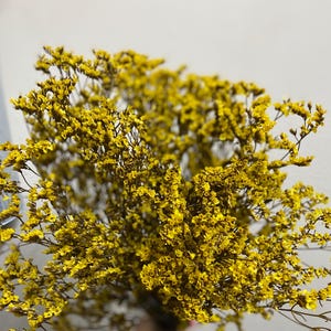Preserved Dyed Limonium Sinensis/Preserved Crystal Flower/Flower Bunch for DIY Arrangements/Flower Bundle/Craft/Home Decor