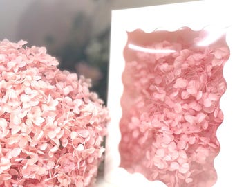 Preserved Hydrangea 10, 20 Pieces Flowers Flowers for DIY Craft Decor