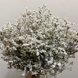 Preserved Dyed Limonium Sinensis/Preserved Crystal Flower/Flower Bunch for DIY Arrangements/Flower Bundle/Craft/Home Decor