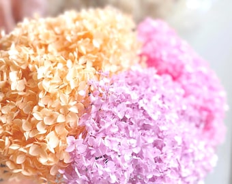 Dyed Preserved Hydrangea , DIY Floral Craft Supplies