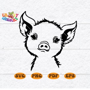 File in formato SVG di maiale, file di taglio di maiale, Volto di animale, Maiale carino in formato SVG, Faccia di maiale in formato SVG, File in formato SVG di animali, Volto di animale, File in formato SVG di animali da fattoria, File in formato SVG di fattoria Dxf