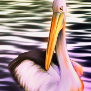 pelican