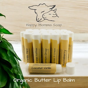 Organic Shea & Cocoa Lip Balm, Lip Salve, Coconut, Natural Skin Care,1 Lip Balm