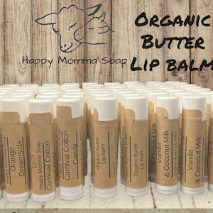 Organic Shea & Cocoa Lip Balm, Lip Salve, Coconut Chapstick, Natural Skin Care,1 Lip Balm image 1