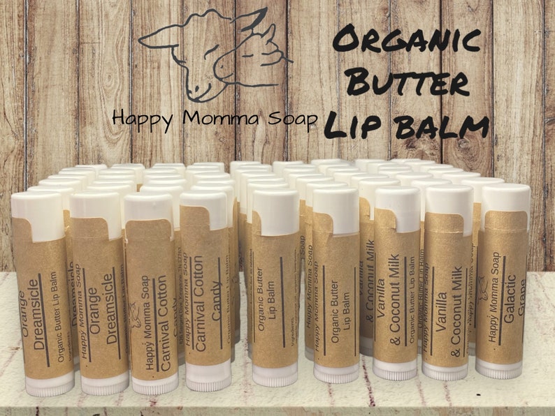 Organic Shea & Cocoa Lip Balm, Lip Salve, Coconut Chapstick, Natural Skin Care,1 Lip Balm image 1