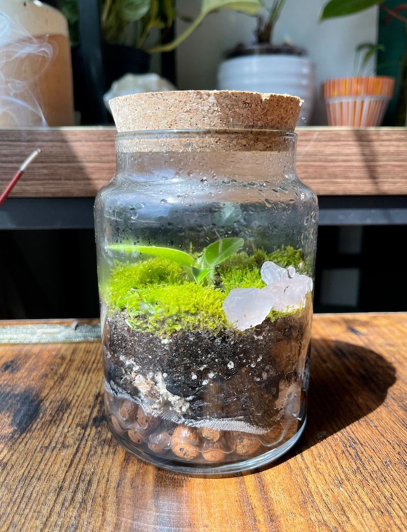 May include: A glass terrarium with a cork lid, containing layers of soil, moss, and small plants. The terrarium also features a cluster of clear crystals. The jar sits on a wooden surface, with sunlight illuminating the scene.