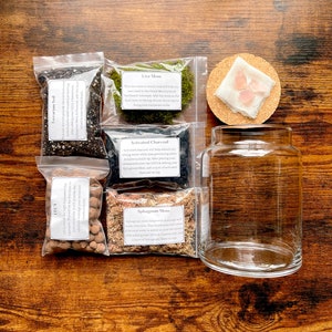 Build Your Own Terrarium Kit | Plant Gift Idea