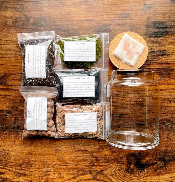 Build Your Own Terrarium Kit | Plant Gift Idea