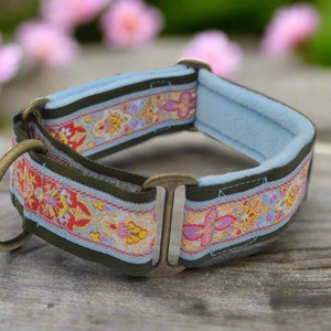 May include: A pet collar featuring a decorative ribbon with a repeating floral pattern in shades of red, yellow, and light blue, set against an olive green webbing base. The collar includes antique brass hardware and a soft, light blue padded lining.