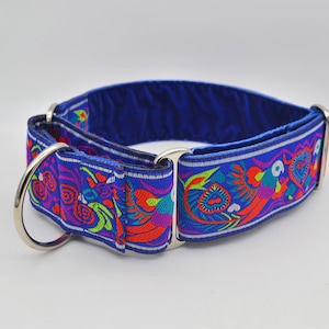 May include: A blue dog collar with a colourful floral pattern and silver hardware.