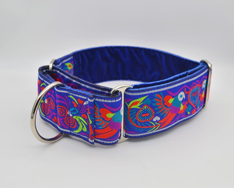 May include: A blue dog collar with a colourful floral pattern and silver hardware.