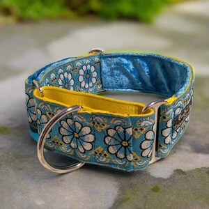 May include: A blue and yellow floral dog collar with a silver buckle. The collar is lined with blue velvet.