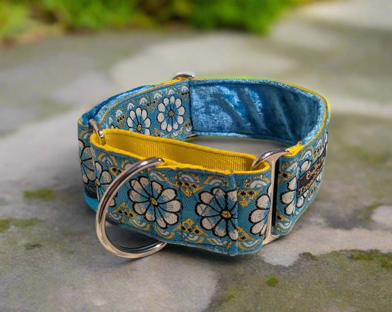 May include: A blue and yellow floral dog collar with a silver buckle. The collar is lined with blue velvet.