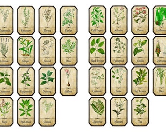 Set of Vintage Style Apothecary Spice Herb Labels Sticky Backed Vinyl Water and Oil Proof