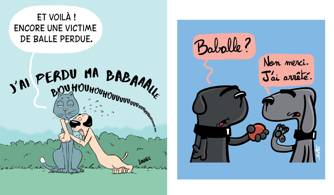 Wie Hund und Katze ComicBuch Humor Comics / mit oder ohne Etsy