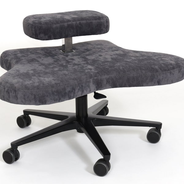 Office Chair Best Ergonomic Chair for Back Pain Relief - CLASSIC version_black base_charcoal