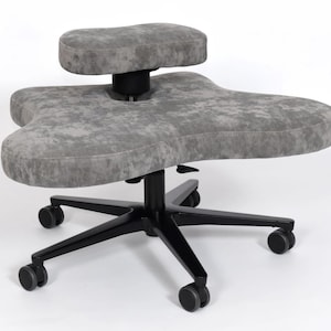 Bürostuhl Stuhl für Rückenprobleme Office Desk Orthopedic Chair healthy for spine_COMFORT version_black base_grey