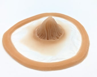 FX striated horn prosthesis n2 - in silicone