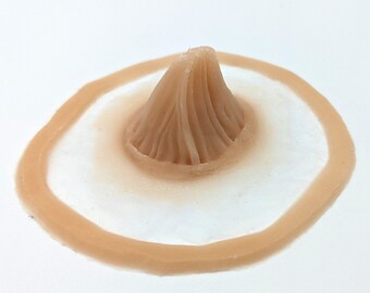 FX striated horn prosthesis n4 - in silicone