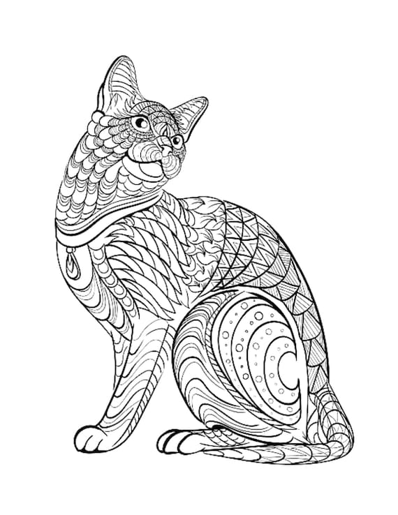 Cat Mandala Coloring Page Color Pet Animals Draw Drawing Paper Digital File  Download Adult Kids Education Art Project School Work 