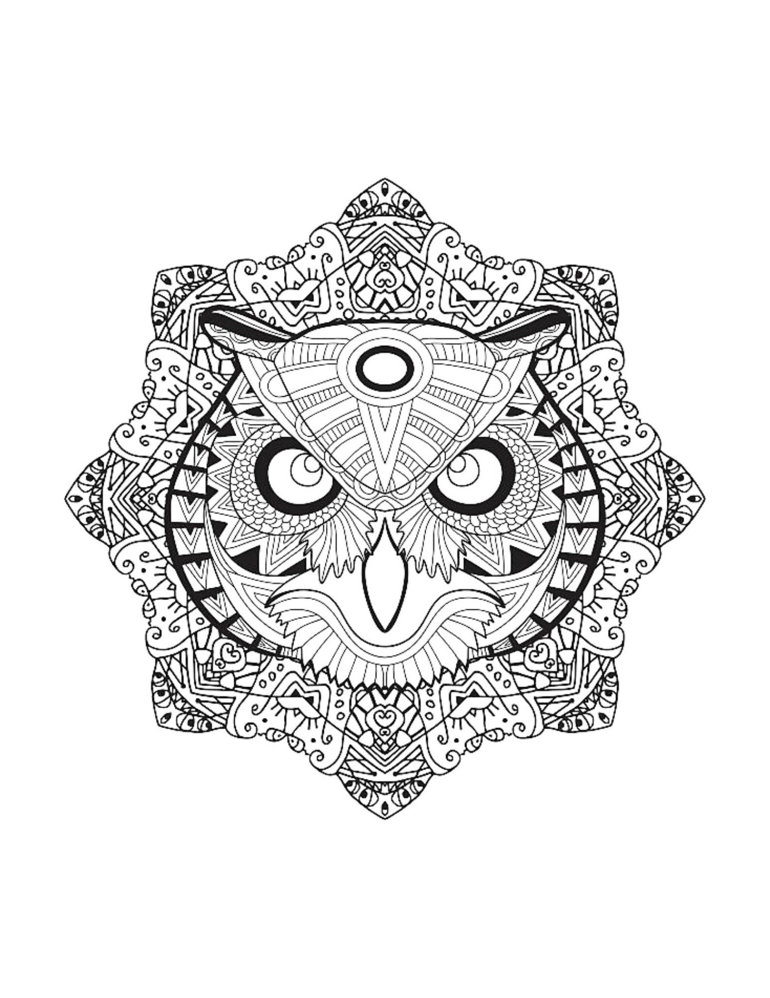 Owl Mandala Coloring Page Color Birds Animals Draw Drawing Paper ...