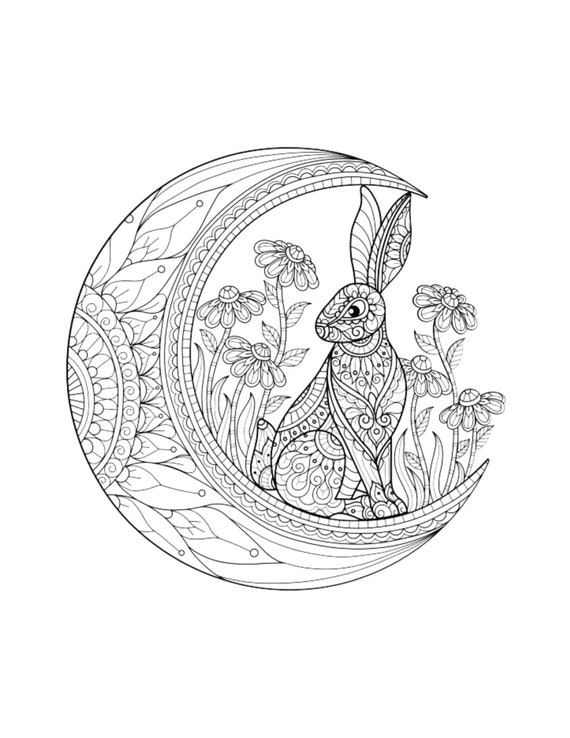 Rabbit Mandala Coloring Page Color Moon Animals Draw Drawing Paper Digital  File Download Adult Kids Education Art Project School Work 