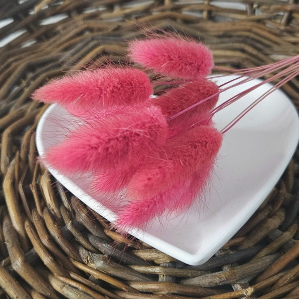 Trockenblumen Lagurus Deko Strauß Geschenk DIY