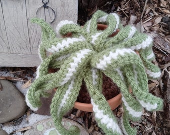 Crochet spider plant in hanger, plant with macrame hanger, amigurumi, hanging plant, home decor, curly spider plant, faux plant