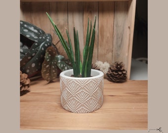 Weißer Blumentopf im Skandi-Design mit Blattmuster - Perfekt für kleine Pflanzen aus versiegeltem Keraflott