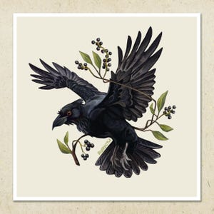 Hawaiian Bird Art Print - ʻAlalā / Hawaiian Crow