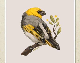 May include: An illustrated bird with a yellow head, grey body, and yellow wing markings, perched on a brown branch with green leaves and yellow berries. The artwork is signed "RUBYLTH". The background is a pale beige.