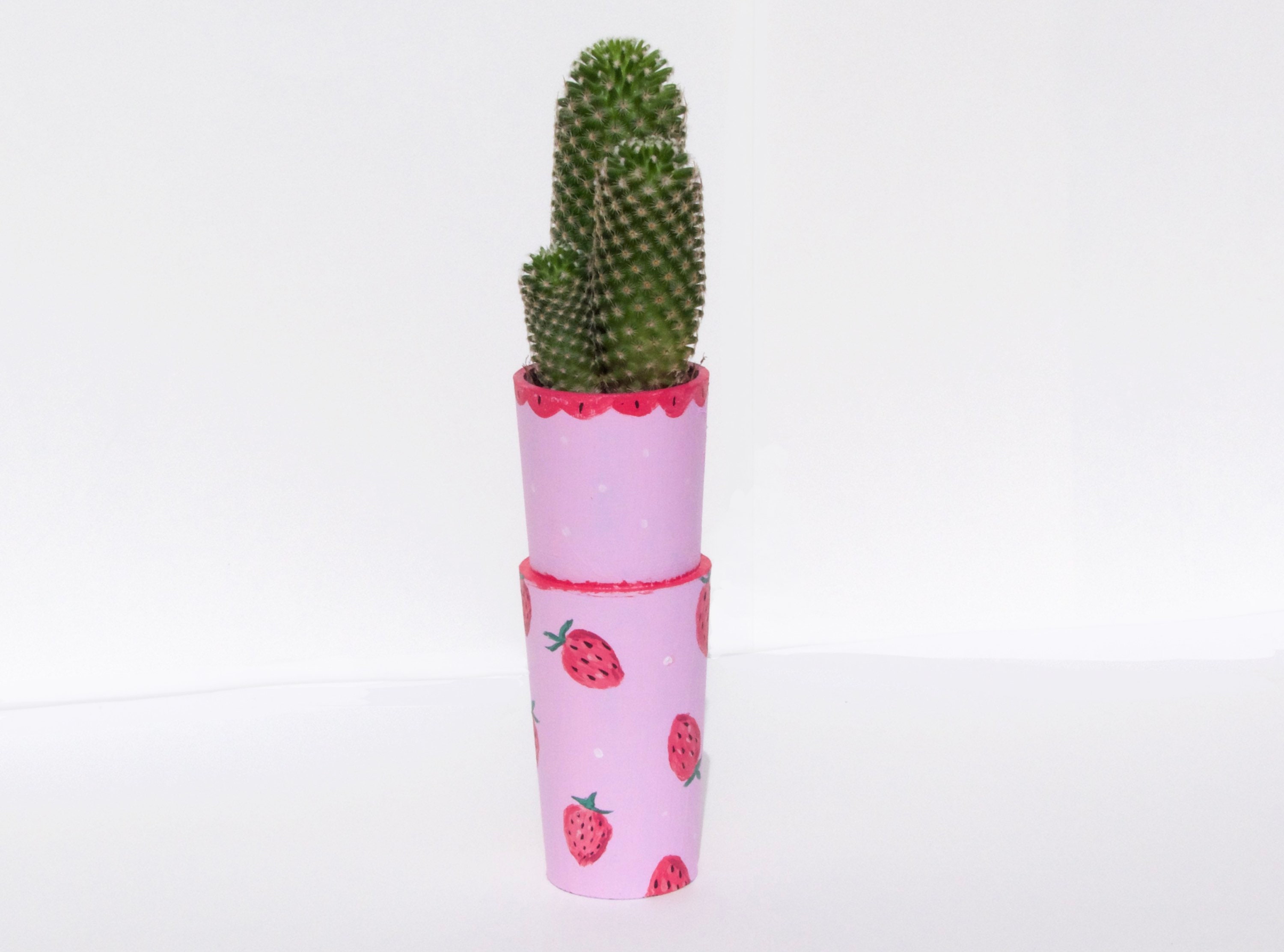 Pots Fraise Fait Main