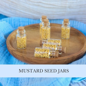 Christian Mustard Seed Jar Gospel Sharing Gift Mini Mustard Seed Jars Travel Mustard Seeds Christian Wedding Favor Gift Bulk Baptism Favor