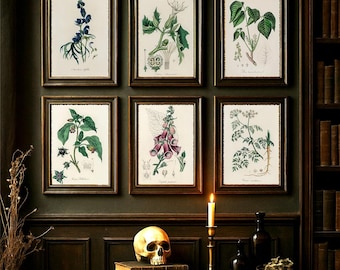 Dark Academia Poisonous Plants Wall Art Set of 6 | Gothic Wall Decor Witchy Botanical Prints | Apothecary Nightshade Datura Poison Garden