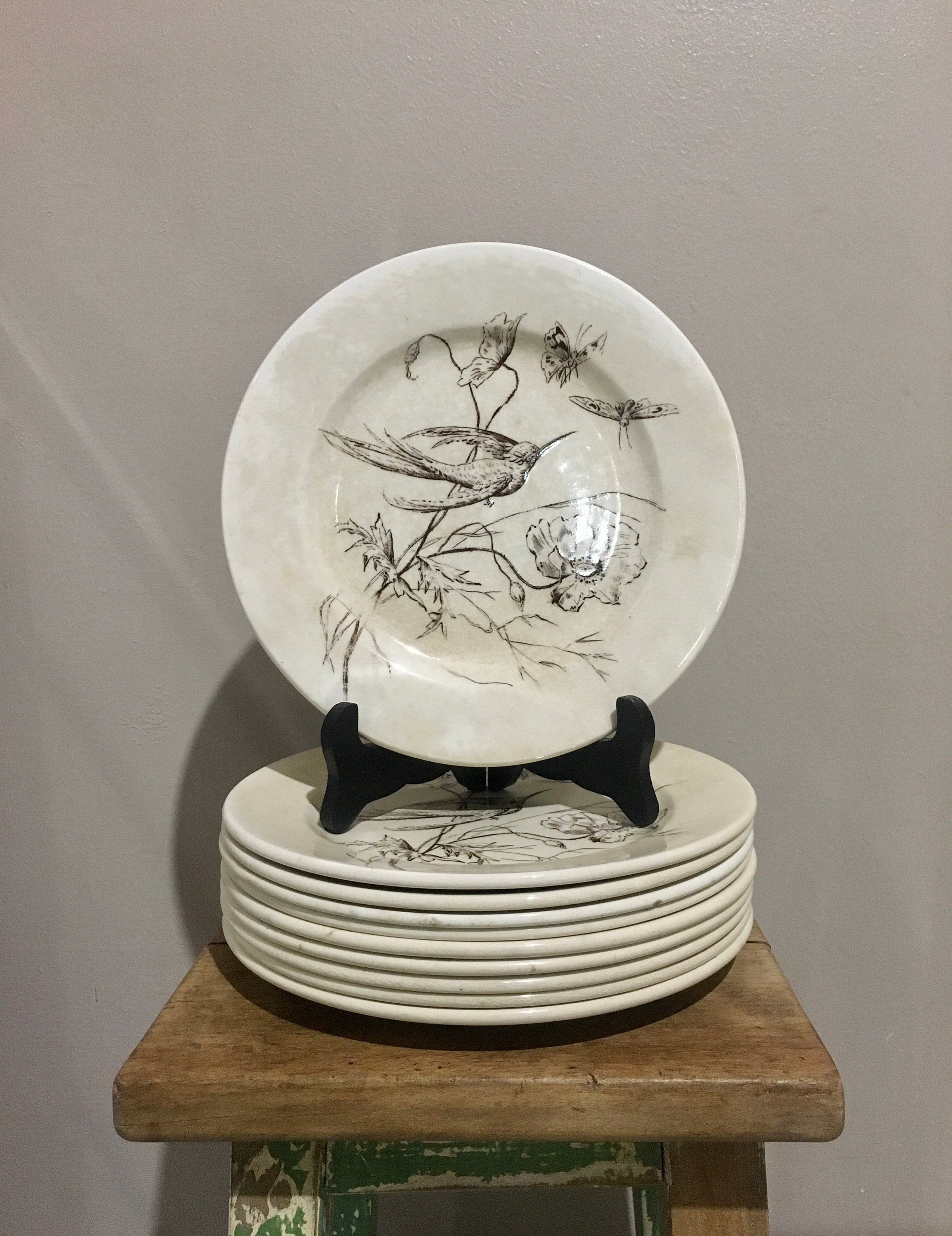 Ensemble 10 Assiettes Plates Transferware 1800 Ancien Français Vintage Oiseaux